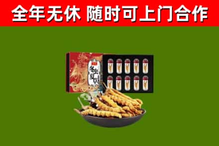 大庆市回收冬虫夏草价格